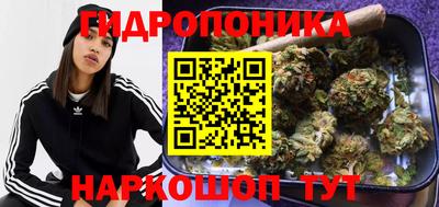 spice Можга