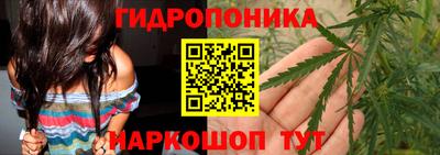 spice Можга