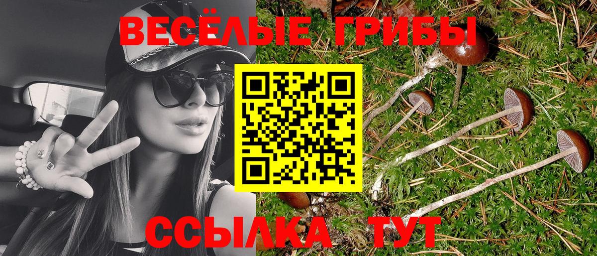 Урюпинск  Псилоцибиновые грибы мухоморы  Псилоцибиновые грибы Cubensis  Вход с VPN 